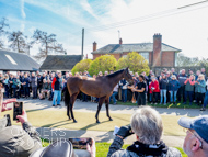 NH220326-30 - Thewoodcorner